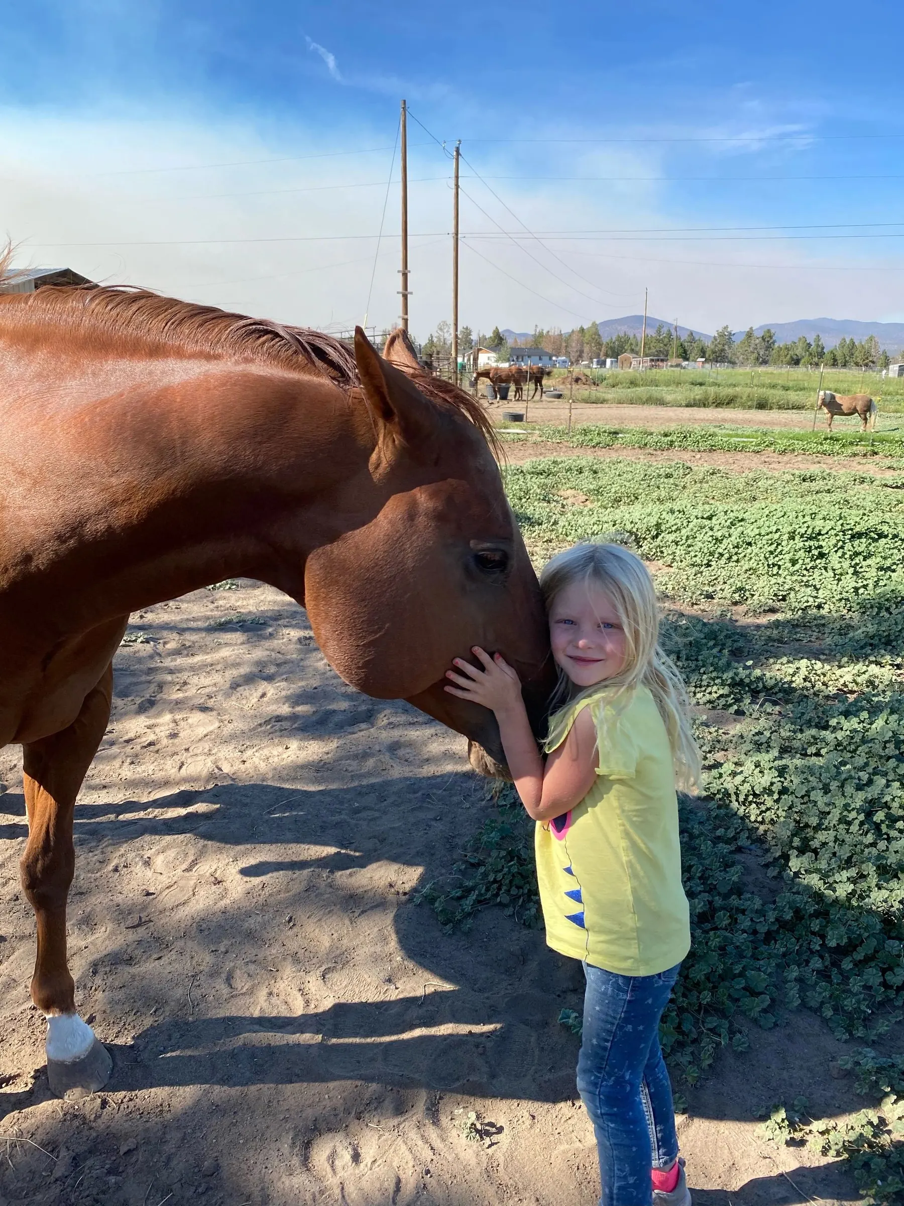 A young girl hugging TK High on Biankus
