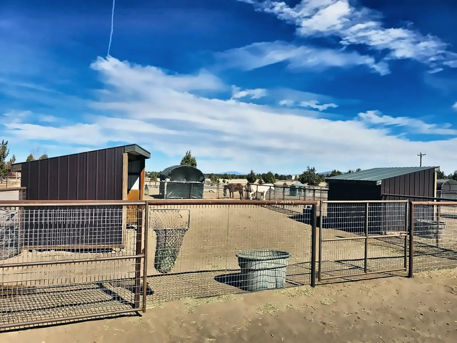 Dry lots with shelters
