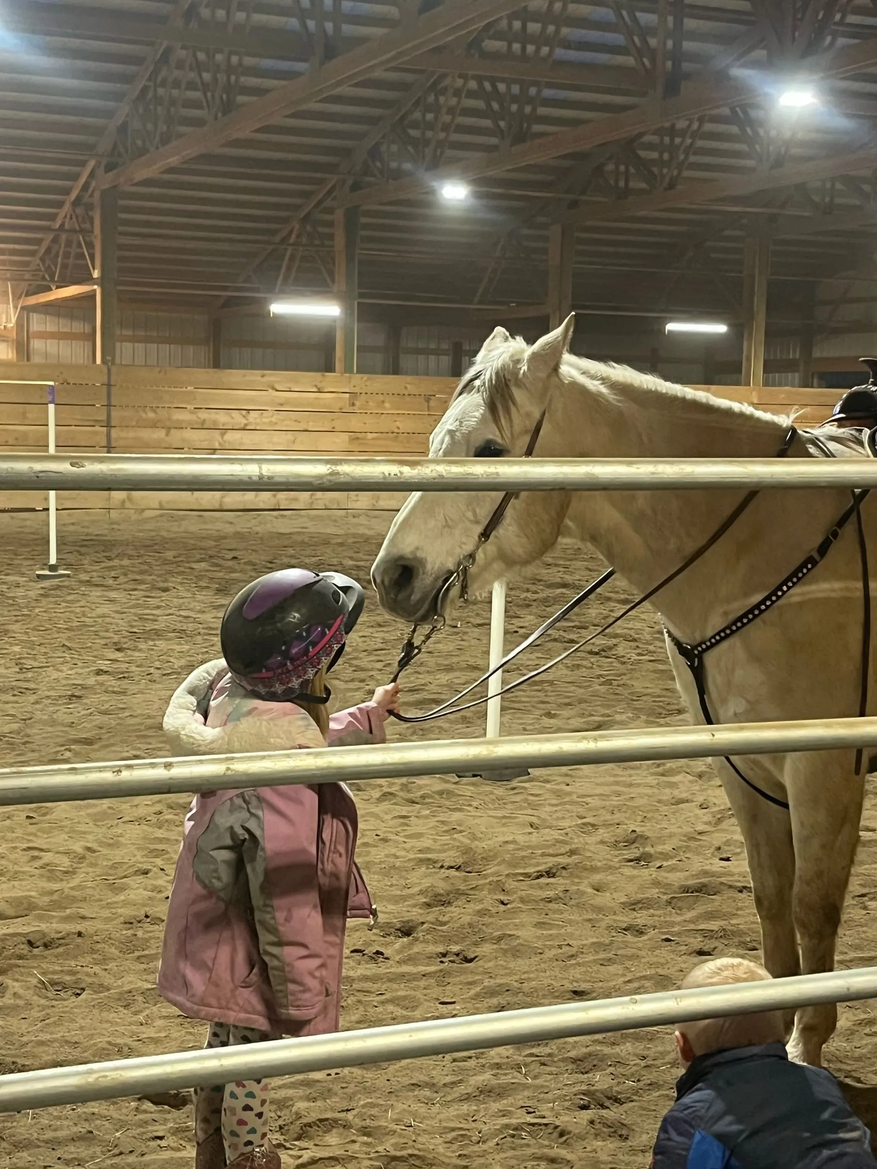 A child meeting a horse over the arena fence