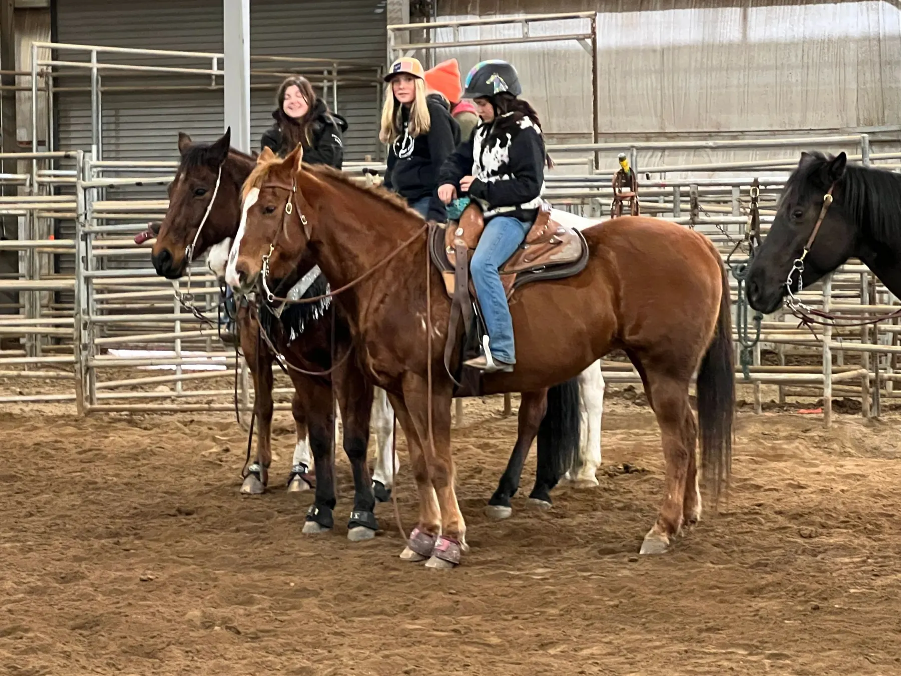 Young riders on horseback during a group lesson