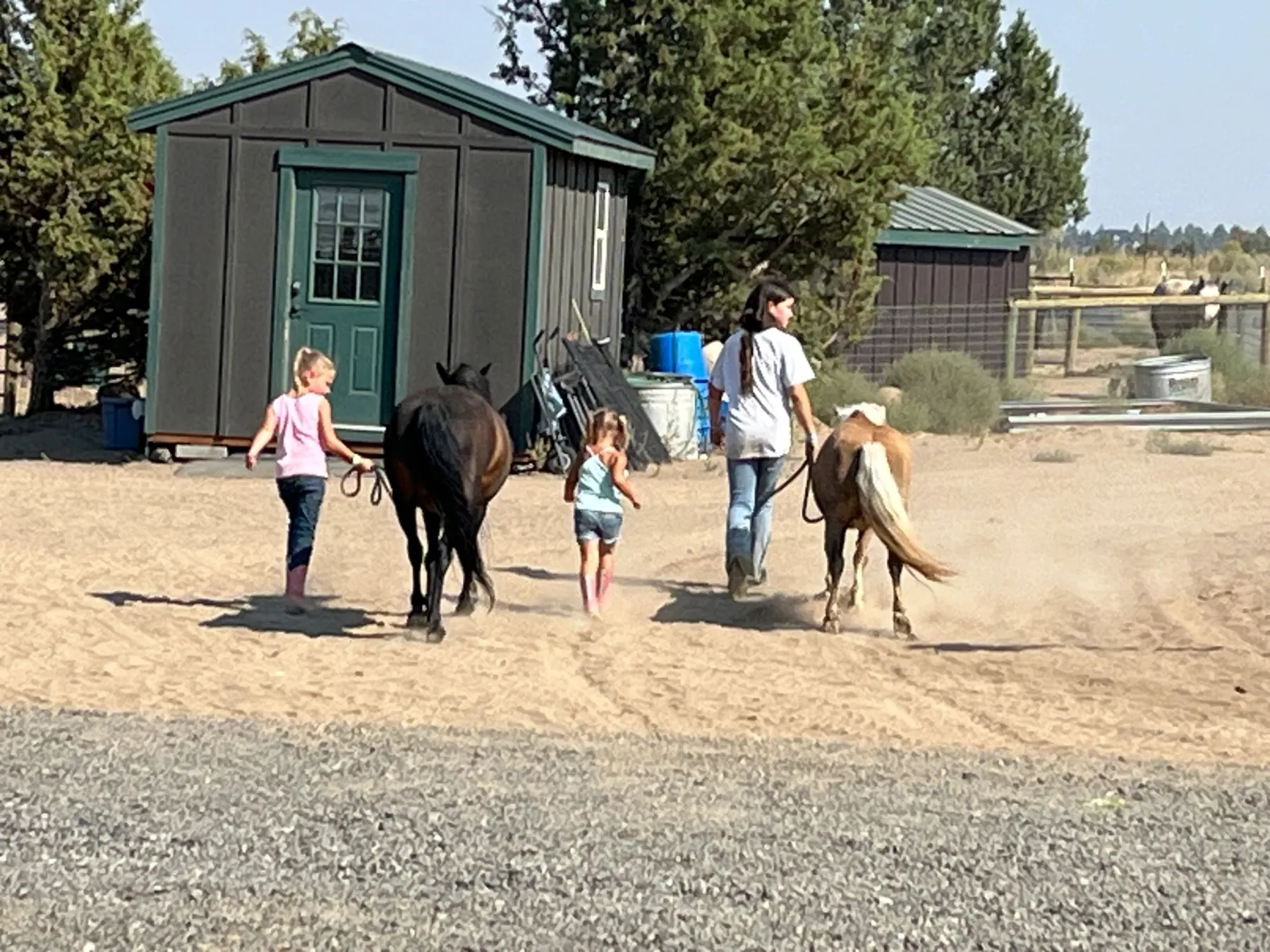 Kids walking horses back to the barn