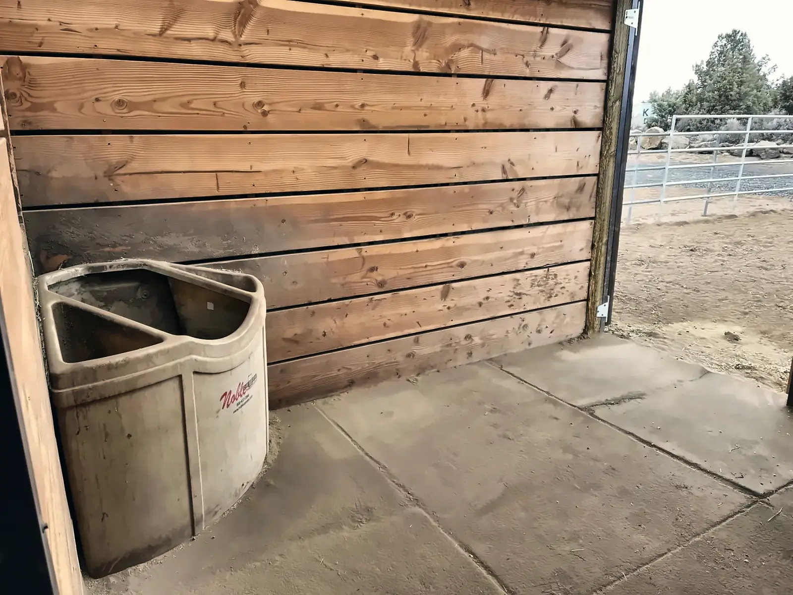 Inside a 12x12 stall with a water bin