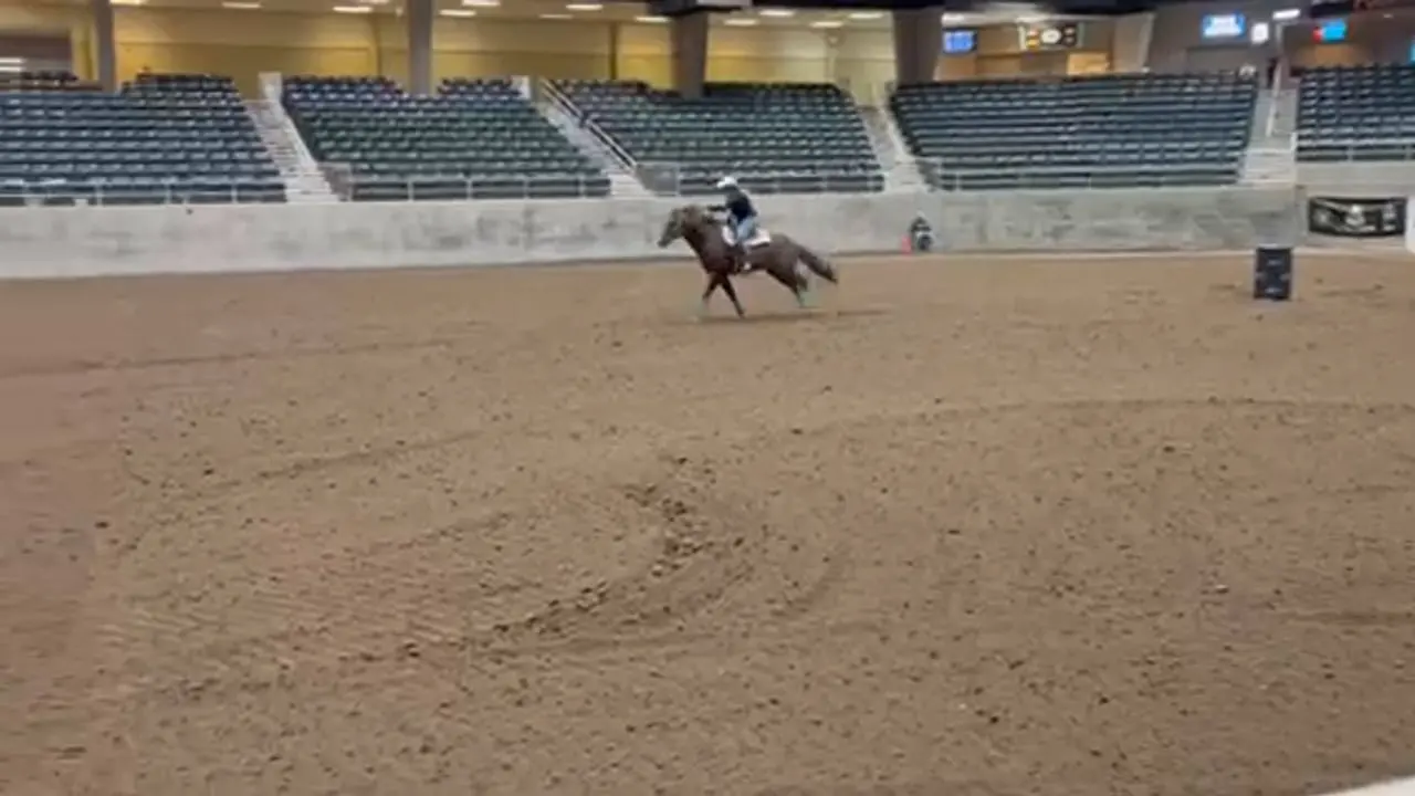 Mulberry at the futurity showcase