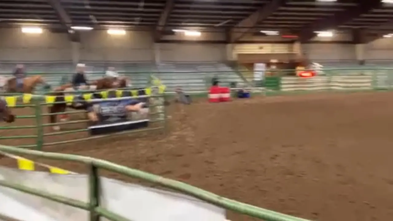 Lucky on a barrel run